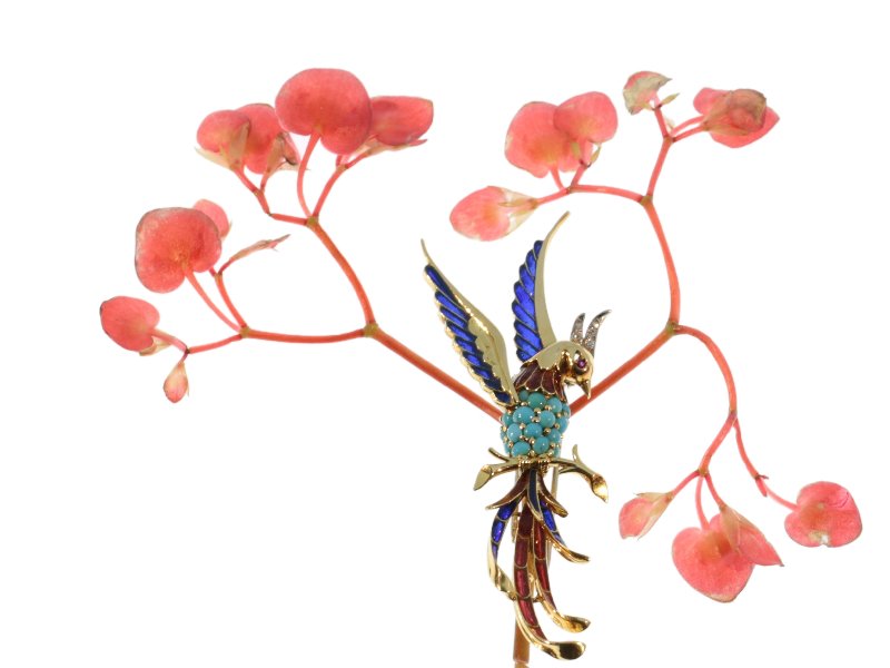 Click the picture to get to this French Fifties bejeweled gold brooch bird of paradise with plique ajour enamel