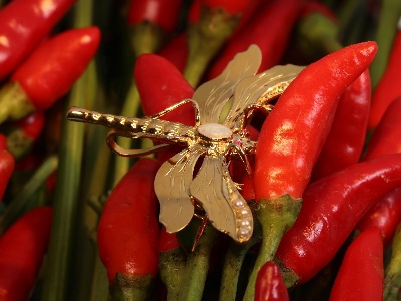 Click the picture to get to see this Victorian yellow gold dragonfly brooch with rubies, pearls and opal.