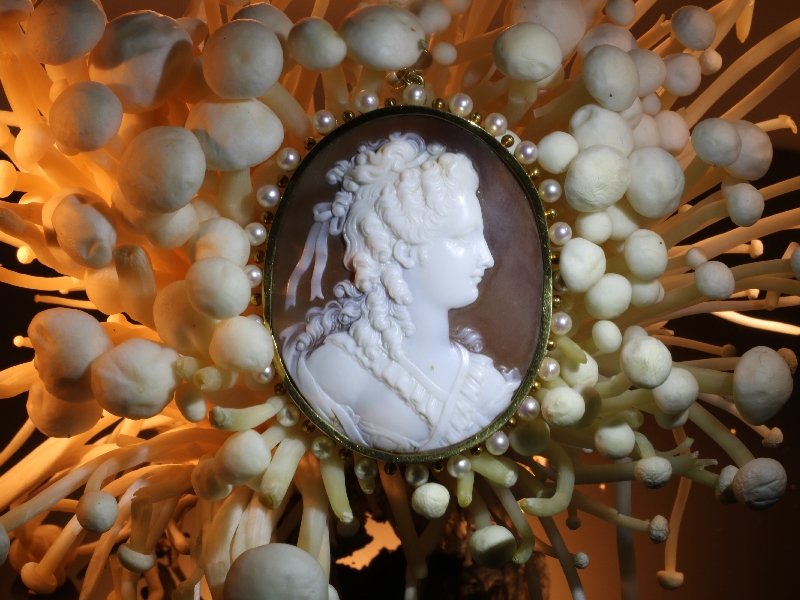 Click the picture to get to see this Large Vintage high quality carving cameo in gold mounting embelished with pearls.