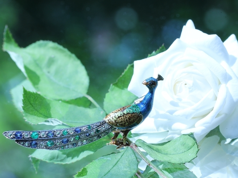 Click the picture to get to see this Charming peacock brooch enameled with a tail set with diamond sapphire emerald.