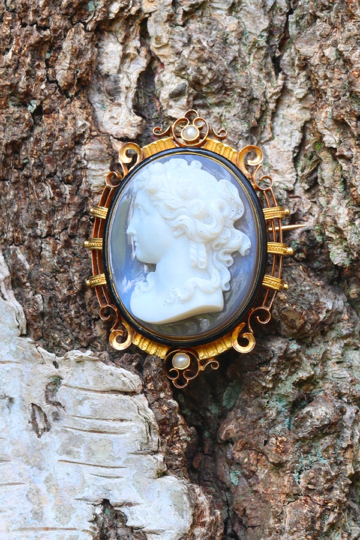 Click the picture to get to see this French Victorian antique hard stone cameo brooch/pendant in elegant enameled mounting.