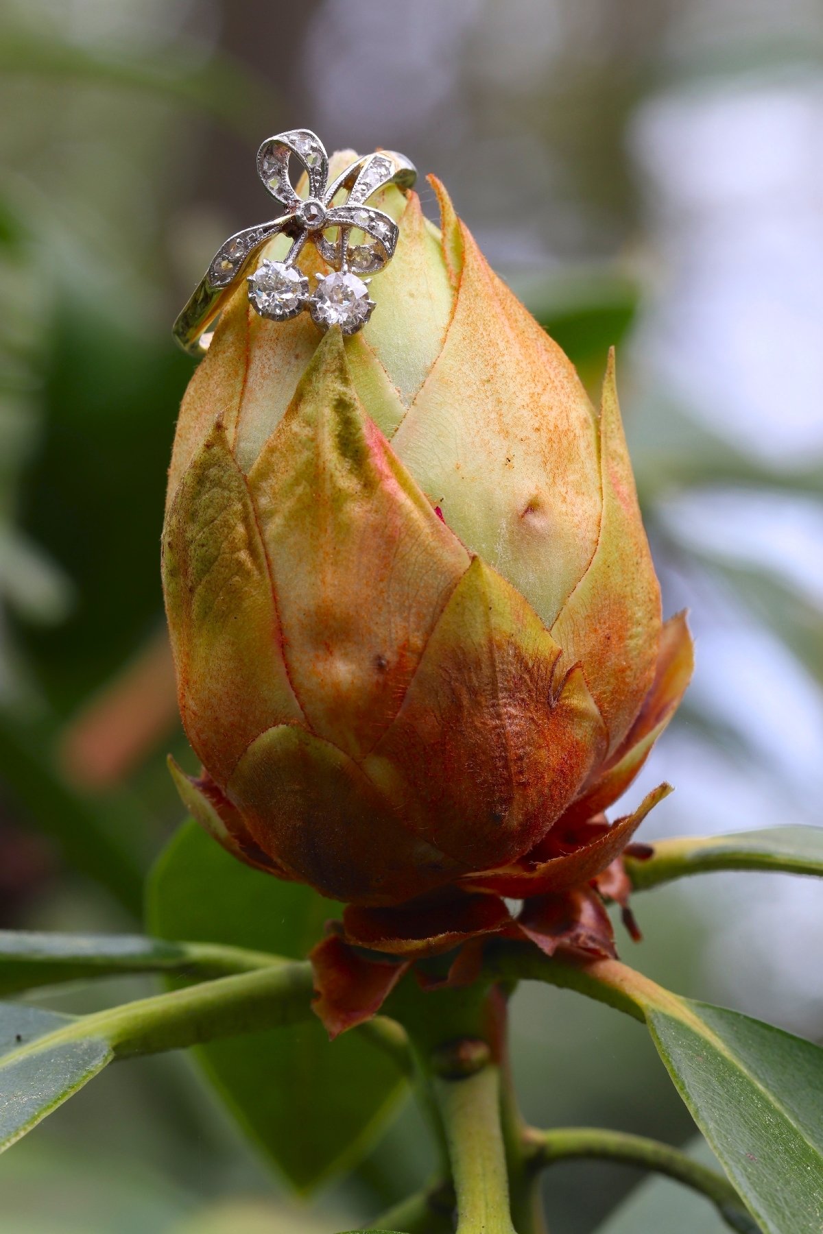 Click the picture to get to see this Charming Belle Epoque ring with diamonds.