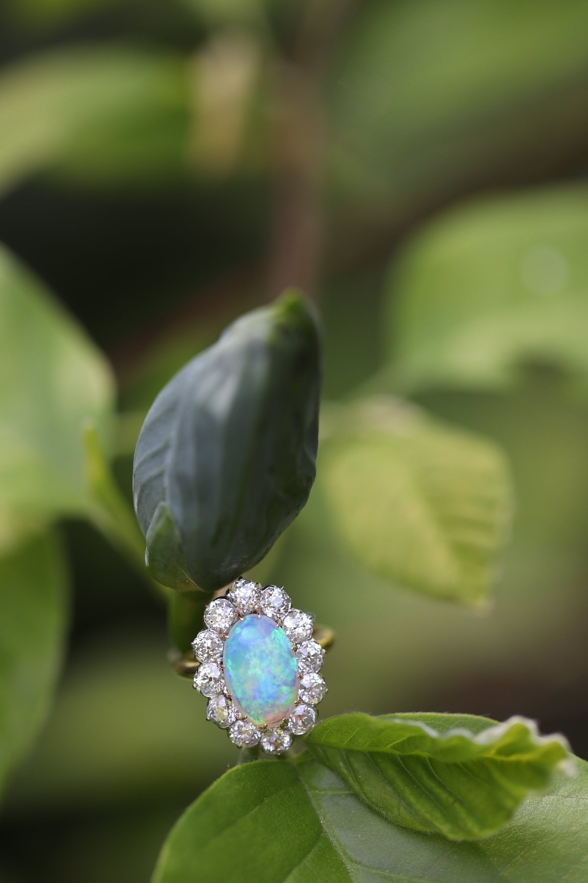Click the picture to get to see this Antique Belle Epoque opal and diamonds ring can be changed into a pendant.