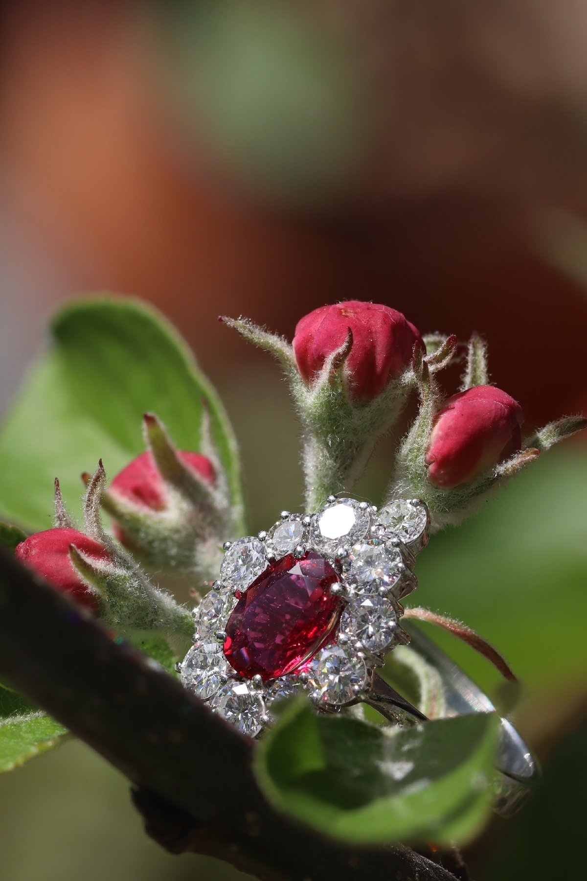 Click the picture to get to see this Vintage 1970's ring with beautiful ruby and set with 12 brilliant cut diamonds.