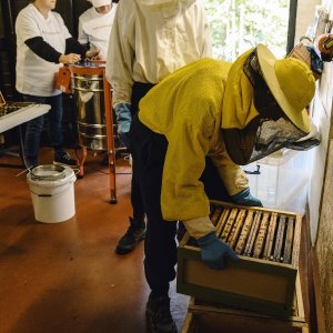 Golden Honey Harvest at the Garden of Adin Fine Vintage and Antique Jewellery