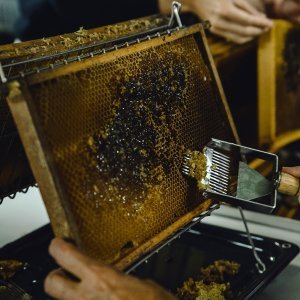 Golden Honey Harvest at the Garden of Adin Fine Vintage and Antique Jewellery