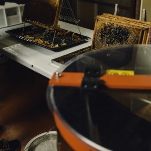 Golden Honey Harvest at the Garden of Adin Fine Vintage and Antique Jewellery
